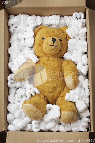 Image of Teddy bear transport