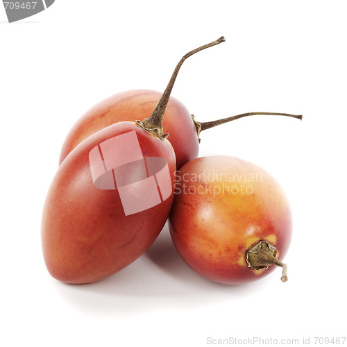 Image of Tamarillo