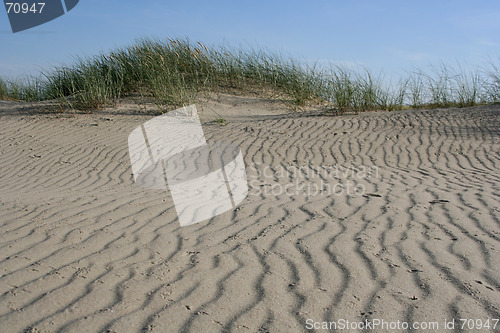 Image of Dunes