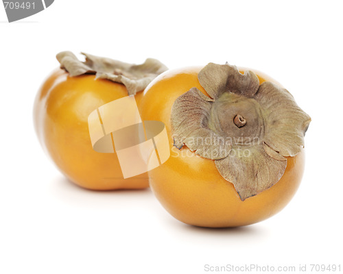 Image of Persimmon