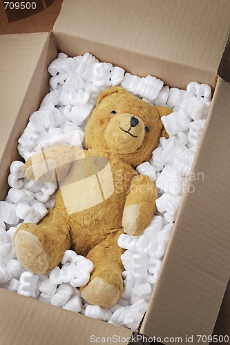 Image of Teddy bear transport