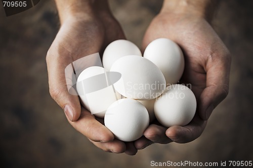 Image of Fresh eggs