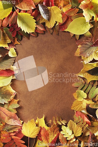 Image of Autumn frame