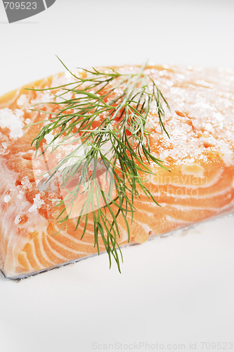 Image of Salt cured salmon