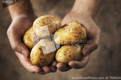 Image of Potatoes