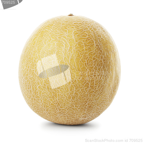 Image of Galia melon