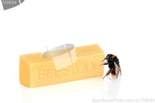 Image of Bumble Bee and Beeswax