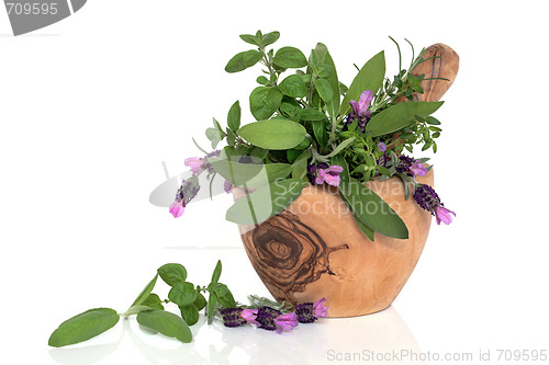 Image of Lavender Flowers and Herb Leaves
