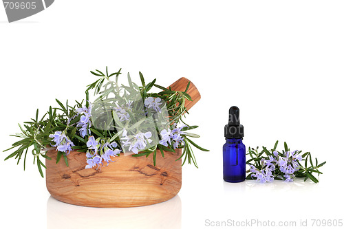 Image of Rosemary Herb and Essence