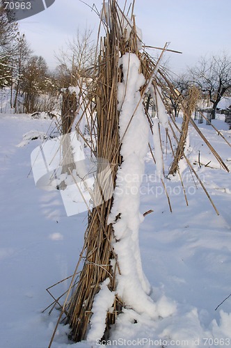 Image of Winter Scene