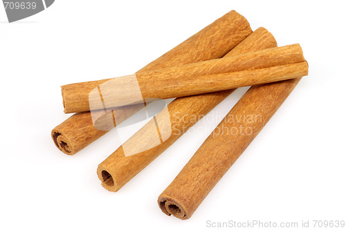 Image of Cinnamon