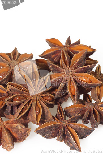 Image of Anise stars