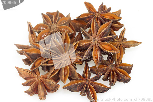 Image of Anise
