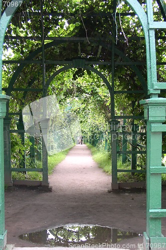 Image of Green Tunnel