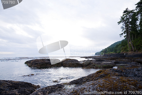 Image of Salt Creek Recreation Area