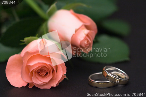 Image of Roses and rings