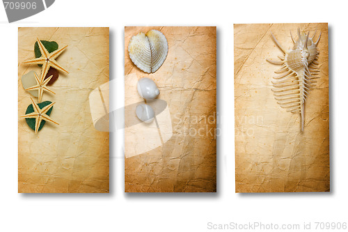 Image of Old Paper with Seashells