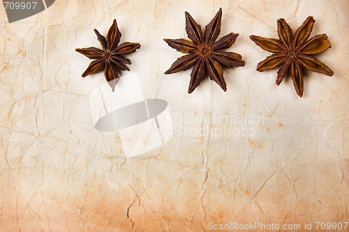 Image of Star Anise Paper