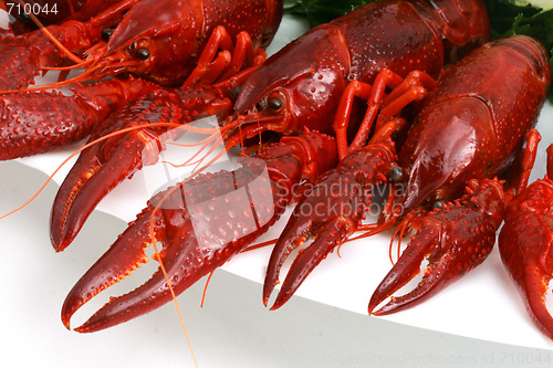 Image of Fresh seafood with herb 