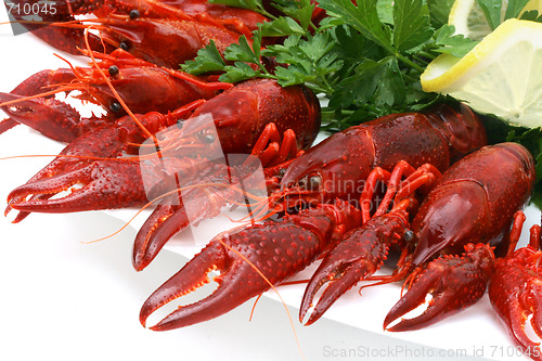 Image of Fresh seafood with herb and lemon