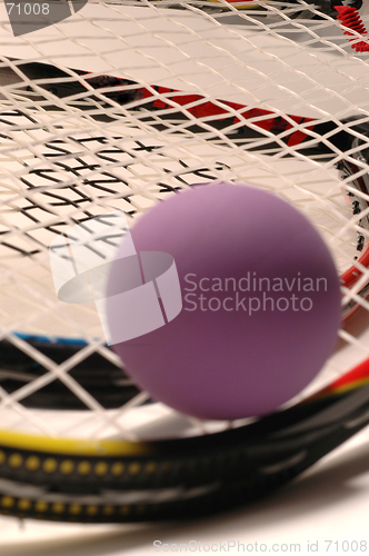 Image of racquetball purple and racquet