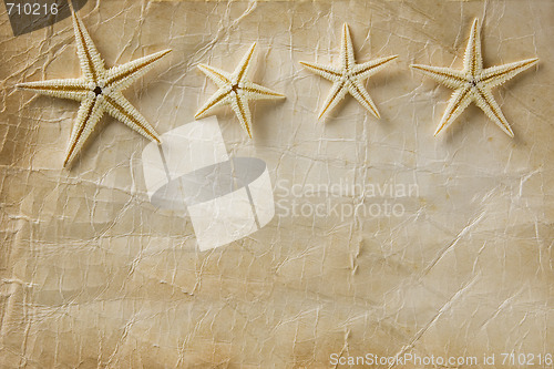 Image of Starfish Paper