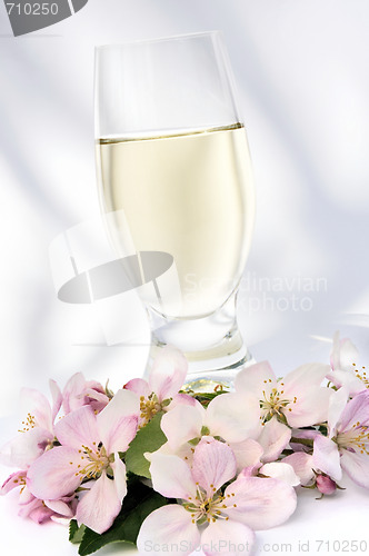 Image of Cider and apple blossoms