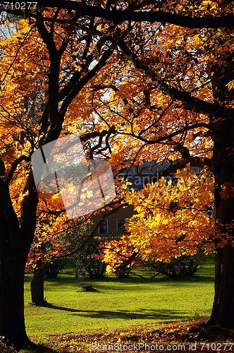 Image of fall, autumn