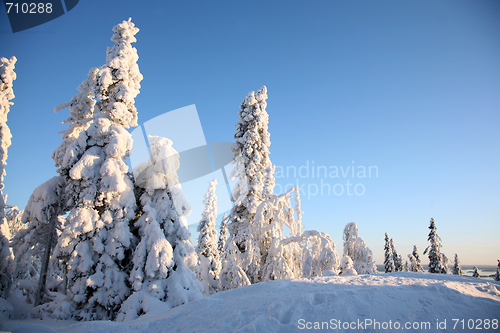 Image of Finland, Koli, Winter 