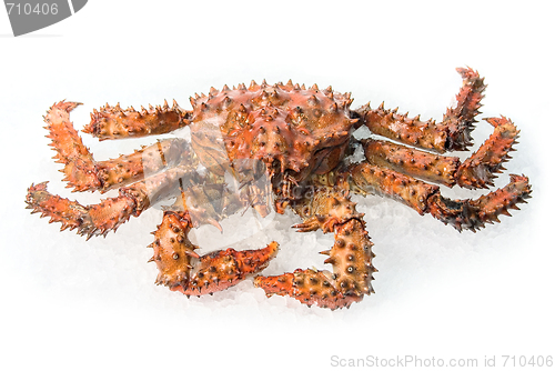 Image of King crab 