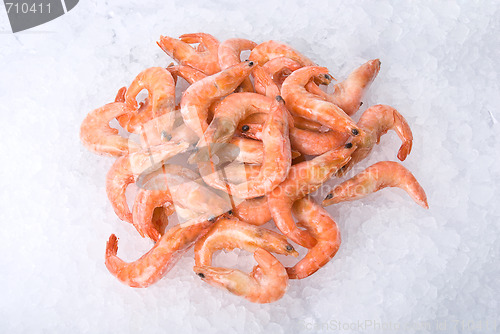 Image of King shrimps 