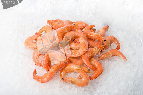 Image of King shrimps 