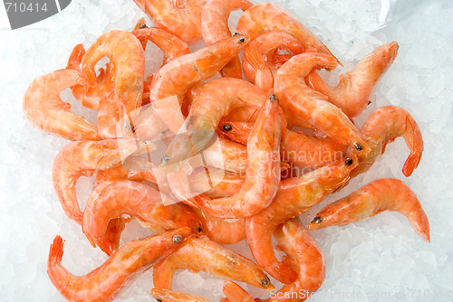 Image of King shrimps