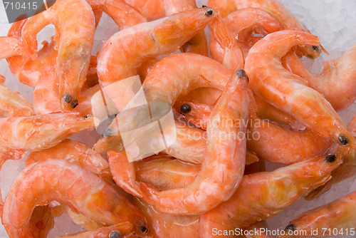 Image of  King shrimps closeup