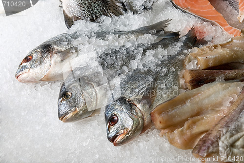 Image of Fish at market