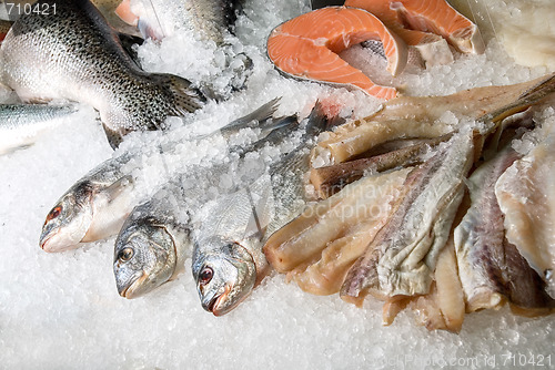Image of fish sets