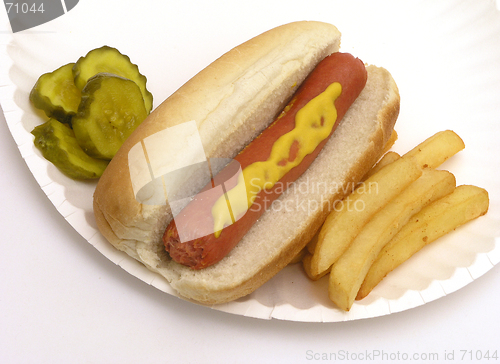 Image of Hot Dog and Fries