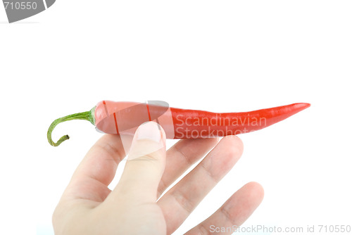 Image of Hot chilli pepper