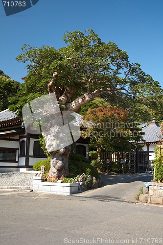 Image of Hase Temple