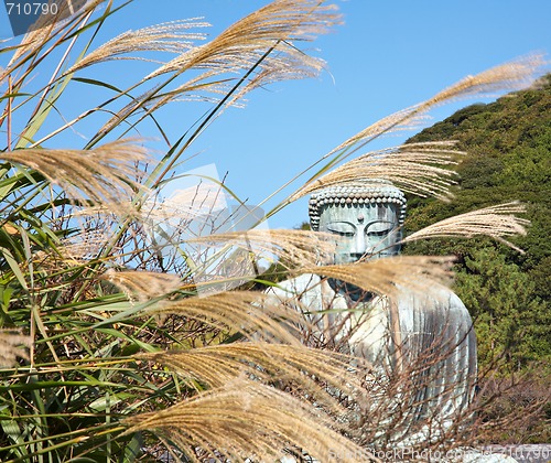 Image of Great Buddha statue in Kamakura