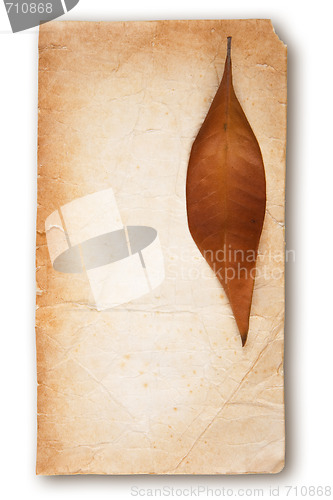 Image of Old Paper and Autumn Leaf