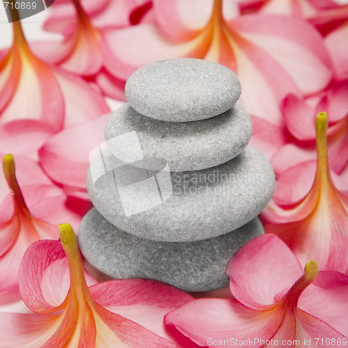 Image of Pebble stack and Flowers