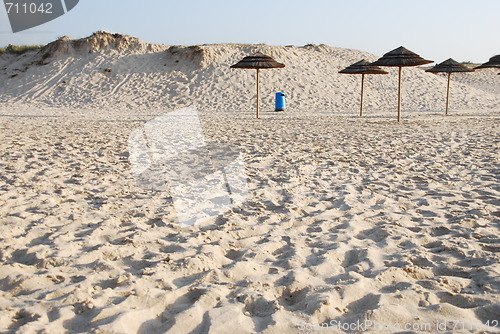 Image of Beach scene with coconuts area