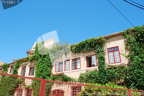 Image of Pink building with clinging plants