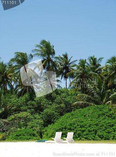 Image of Coconut palm trees with white chairs (honeymoon concept)