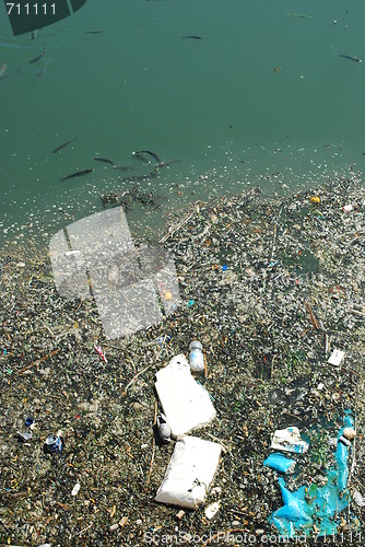 Image of Polluted river full of rubbish and fishes