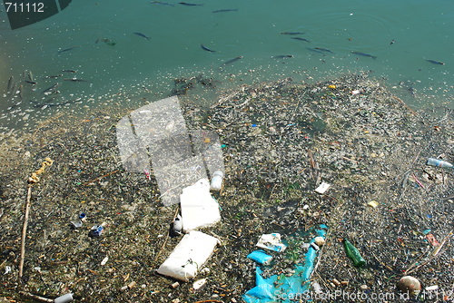 Image of Polluted river full of rubbish and fishes