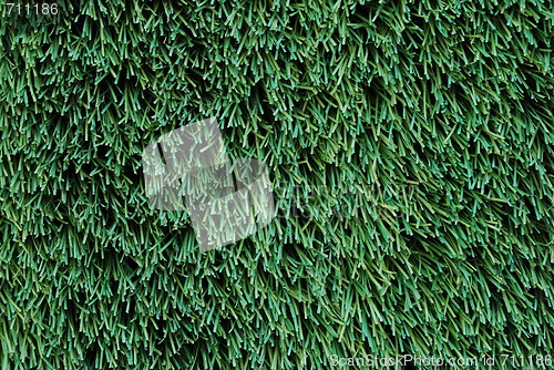 Image of Green Turf Background
