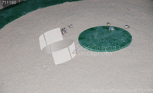Image of Crab race competition