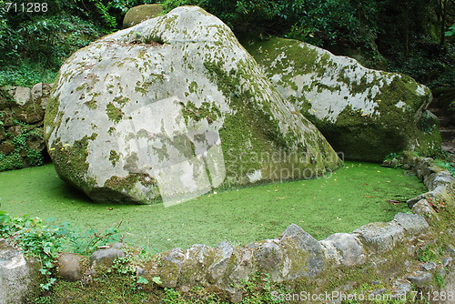 Image of Mossy green lake and stones